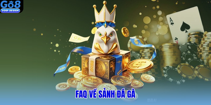 Câu hỏi thường gặp về đá gà